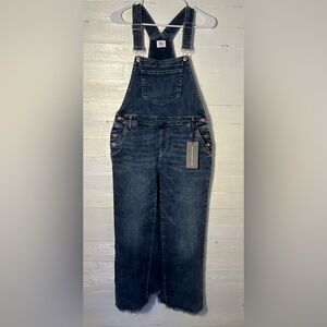 NWOT WashLab Women’s skirt overalls, range blue wash, size Large.